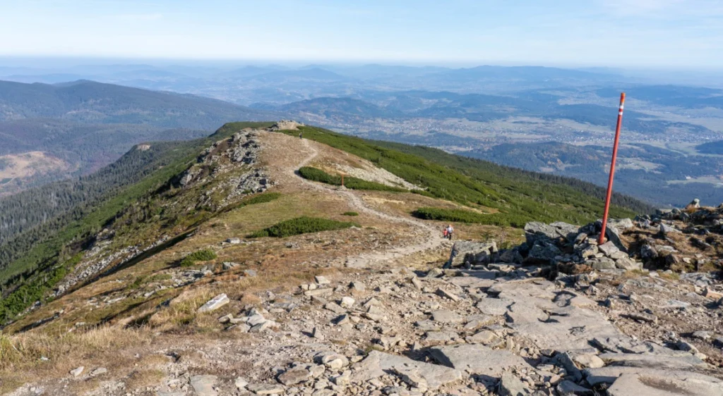 babia
